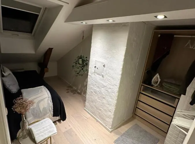 Apartment Penthouse In Oslo's Hippest District Gruenerlokka
